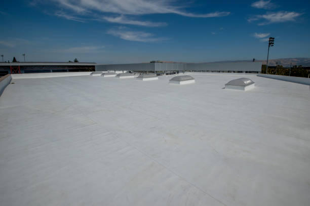 Best Green or Eco-Friendly Roofing Solutions  in Wellington, FL